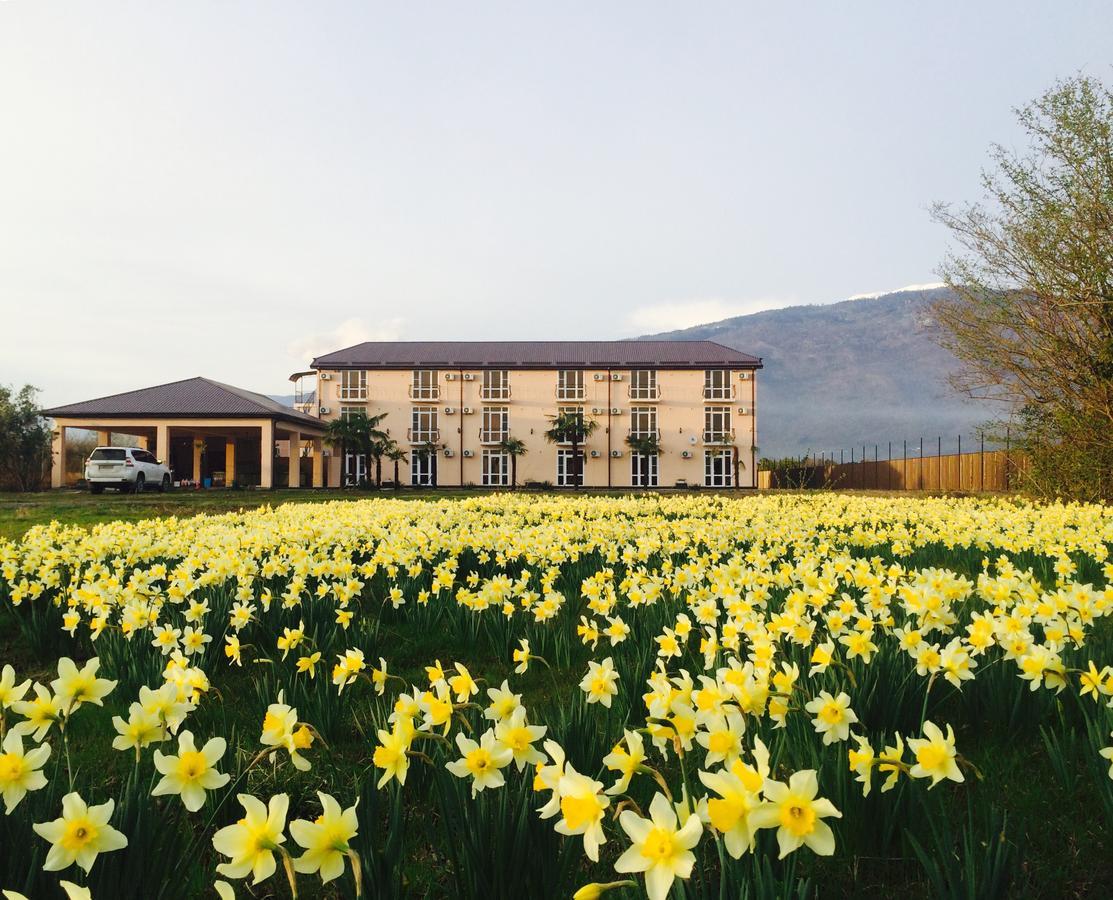 Alakhadze Hotel Askar מראה חיצוני תמונה